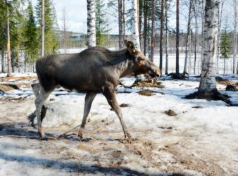 503122735_9931148736960970_7838738103044005051_n