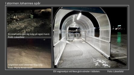 Stormen Johannes blåste bort lite av varje. Bland annat flög en julgran sin kos, ett vagnsskjul blåste sönder och en soptunna gav sig iväg på egen hand.  Foto: Läsarbilder