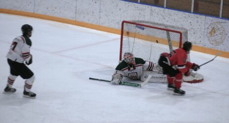 Asplöven dominerade. Foto: Lasse Stenman